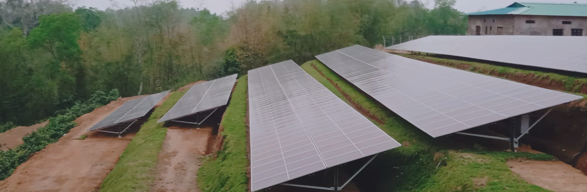 Doyapore Tea & Industries Pvt Ltd