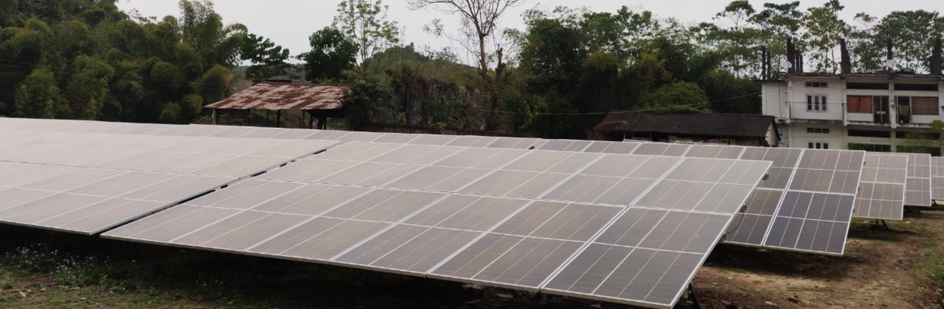 Haticherra Tea Garden