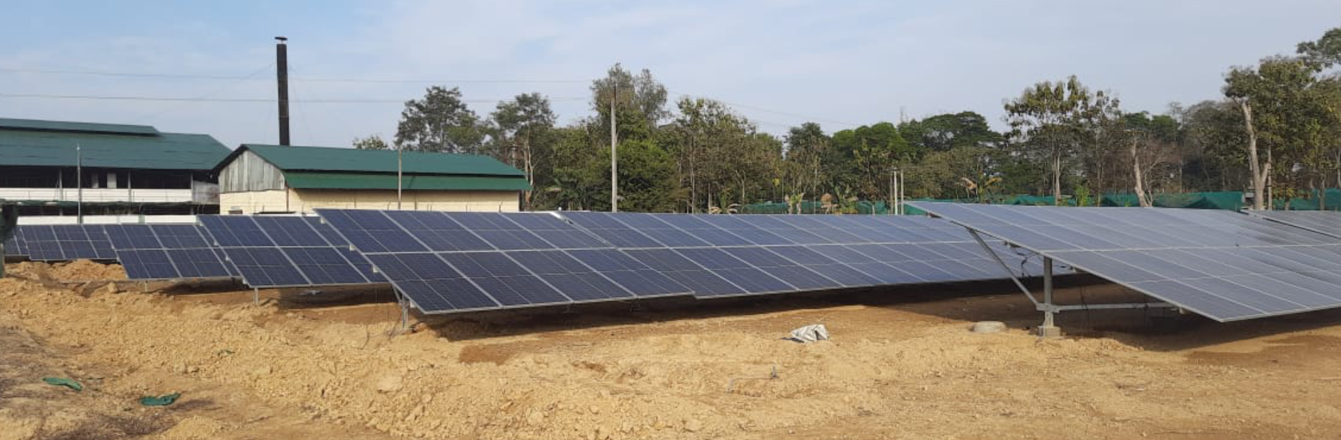 Jorbagh Tea Company (Lingripokrie)