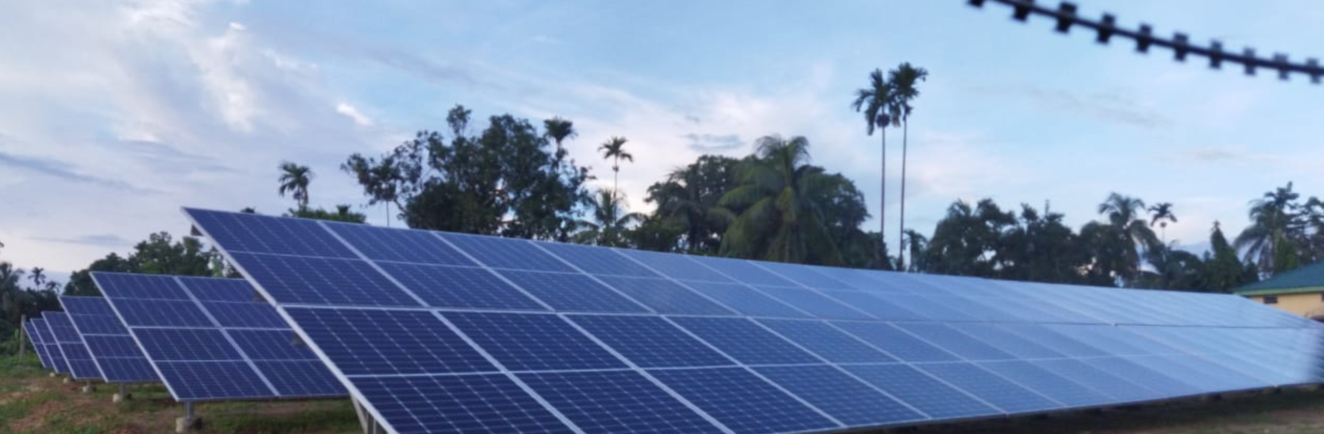 Kalinagar Tea Estate