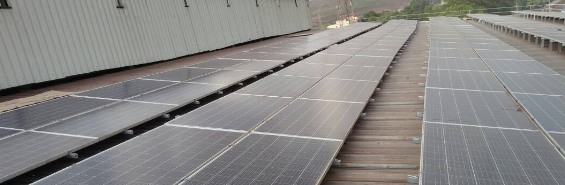 Lavanya International