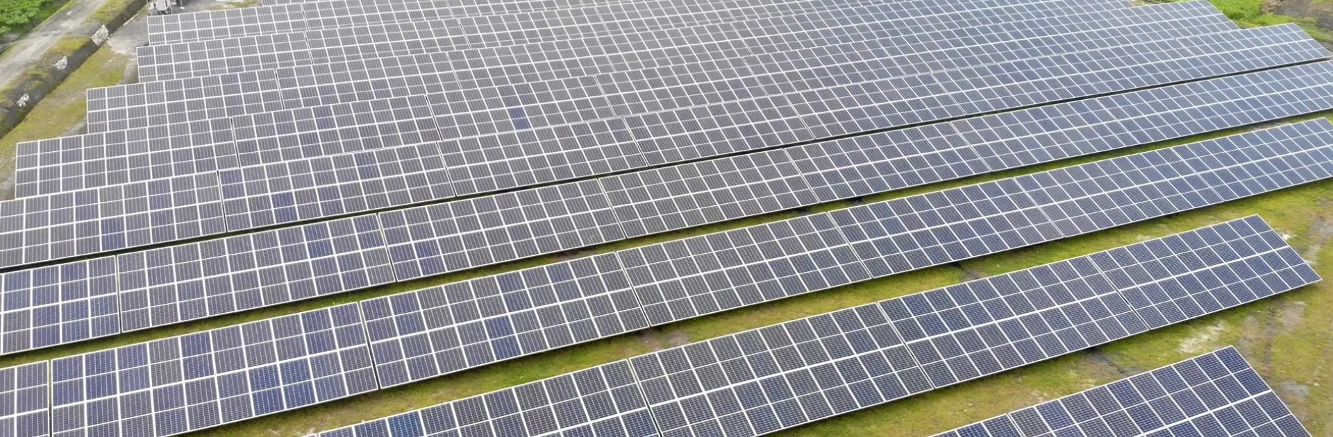 NewLands Tea Estate (Part of AMW Group)