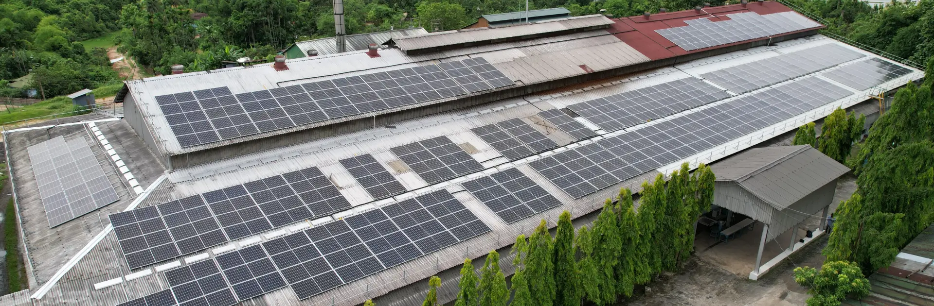 Rosekandy Tea Estate