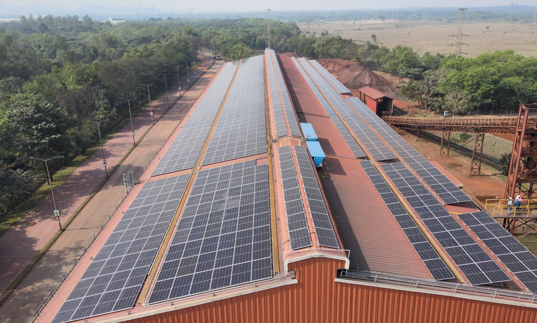 Brahmani River Pellets Limited