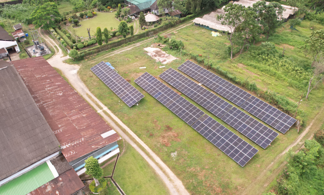 Chamong Tea Gardens - Gauri