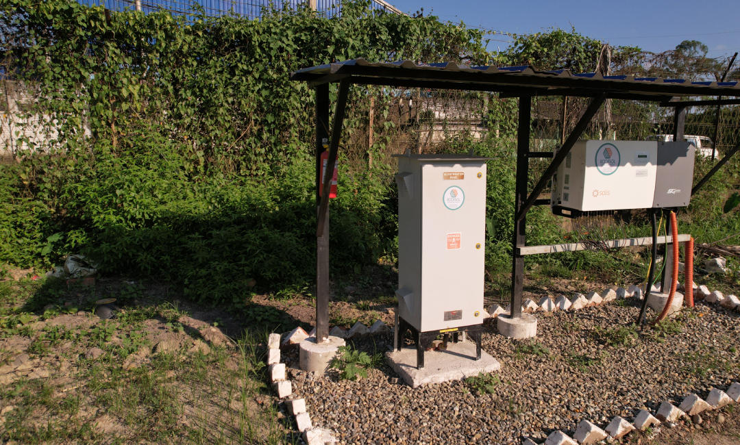 Chamong Tea Gardens -Maud