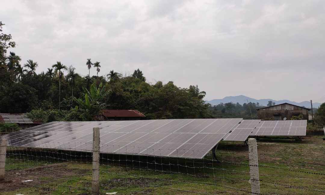 Haticherra Tea Garden