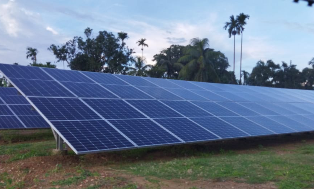 Kalinagar Tea Estate