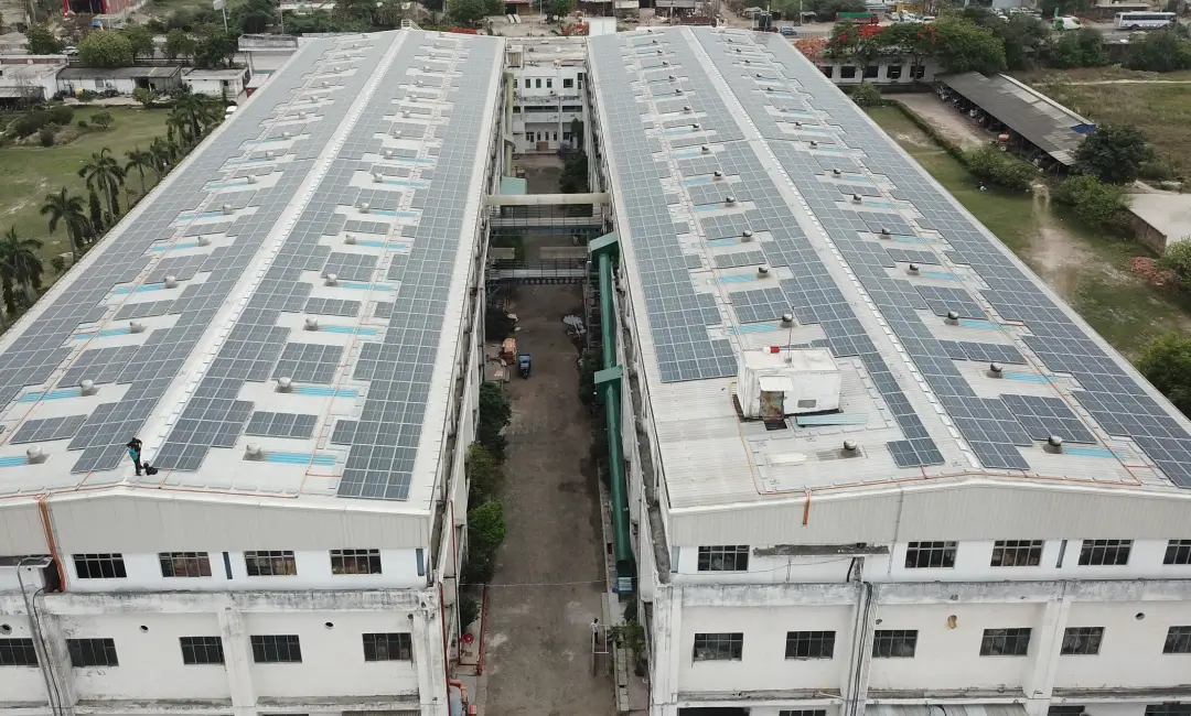 Mirza International Ltd (Red Tape)