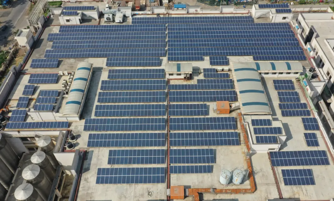 Panchamrut Dairy (AMUL)